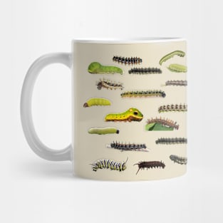 New England Caterpillars Mug